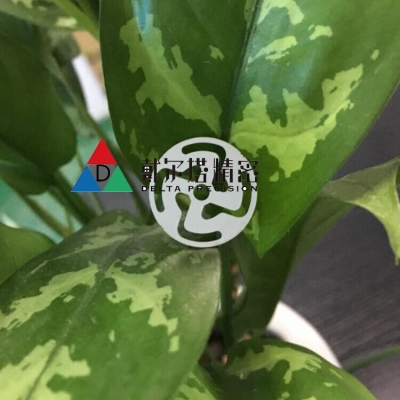 涂布模头垫片